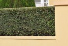 Ginghihard-landscaping-surfaces-8.jpg; ?>
